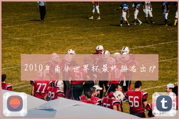 2010年南非世界杯最终排名出炉