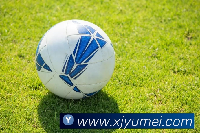 巅峰国际app官网下载品牌故事