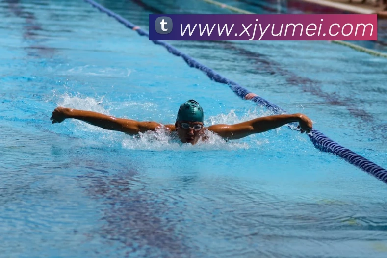 巅峰国际app官网下载服务体系