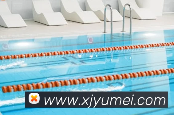 App Interface Preview